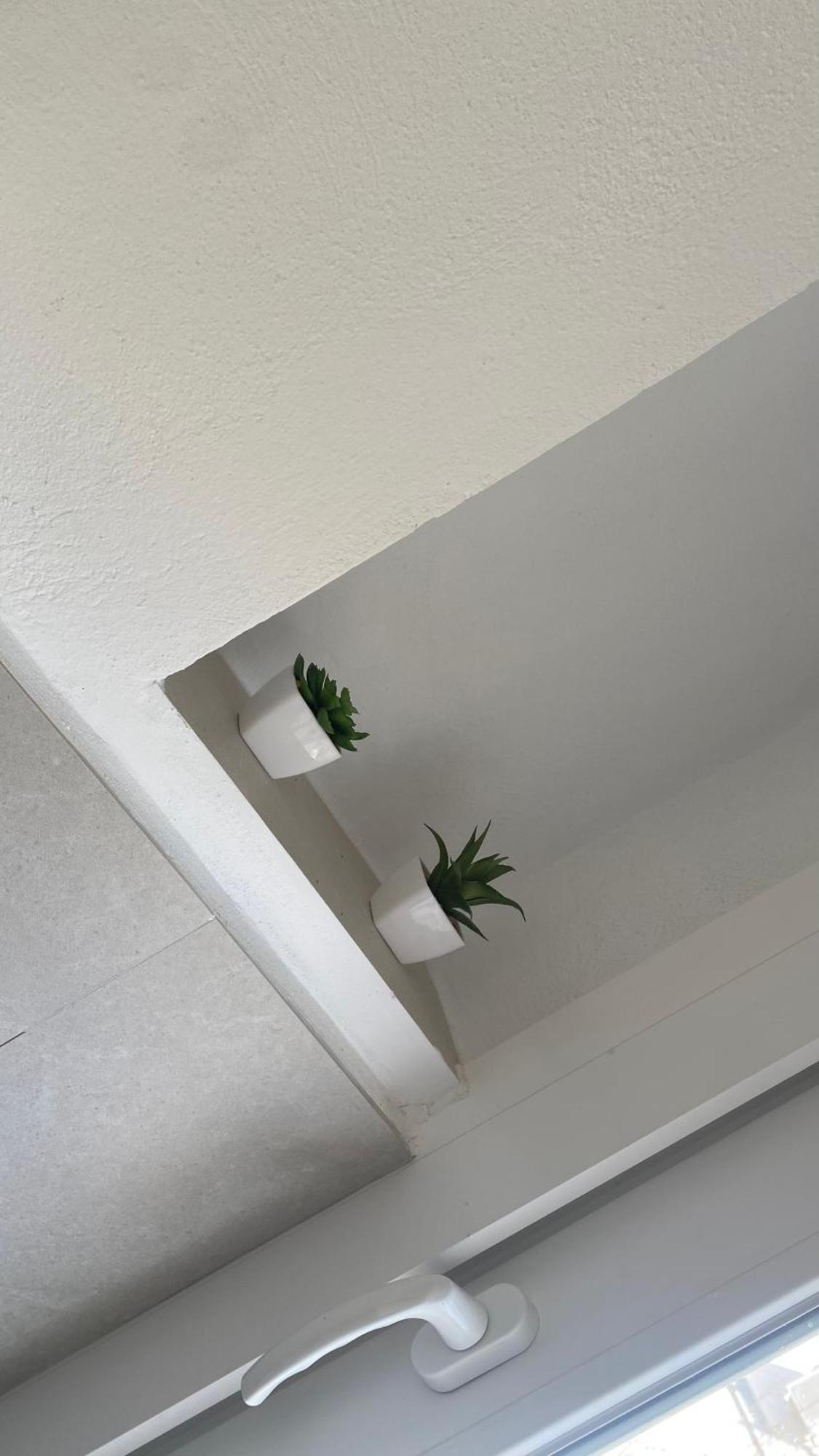 Plaza Andalucia Apartment -A 10Min Caminando Del Puente Romano 科爾多瓦 外观 照片