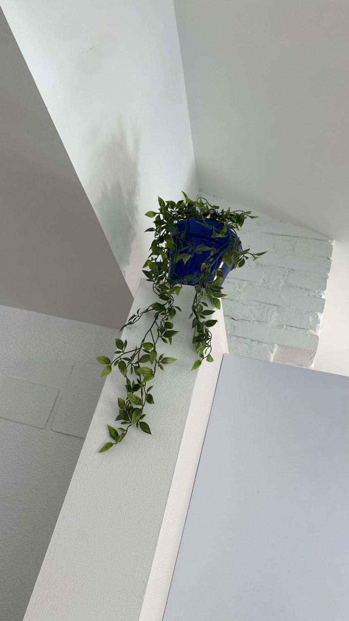 Plaza Andalucia Apartment -A 10Min Caminando Del Puente Romano 科爾多瓦 外观 照片